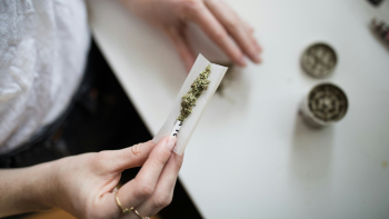 Governo tem “em curso” medidas para evitar uso de canábis medicinal como fachada para tráfico