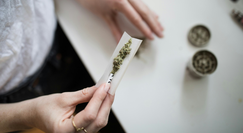 Governo tem “em curso” medidas para evitar uso de canábis medicinal como fachada para tráfico