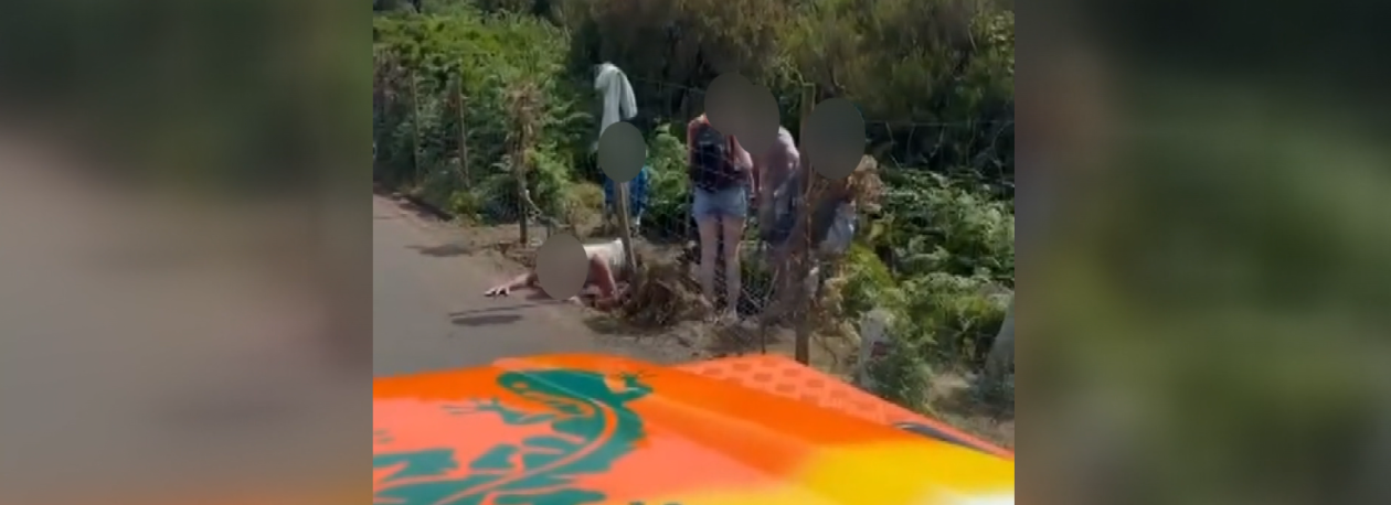 Turistas ‘invadem’ vedação no Fanal (vídeo)