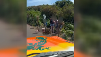 Turistas ‘invadem’ vedação no Fanal (vídeo)