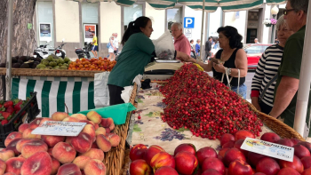 Rua Fernão Ornelas sem fruta pela 1.ª vez (vídeo)