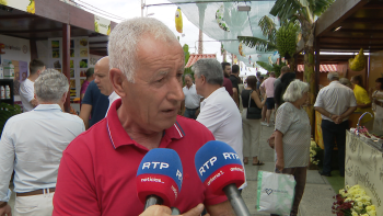 ABAMA acusa Governo Regional de enganar os produtores (vídeo)