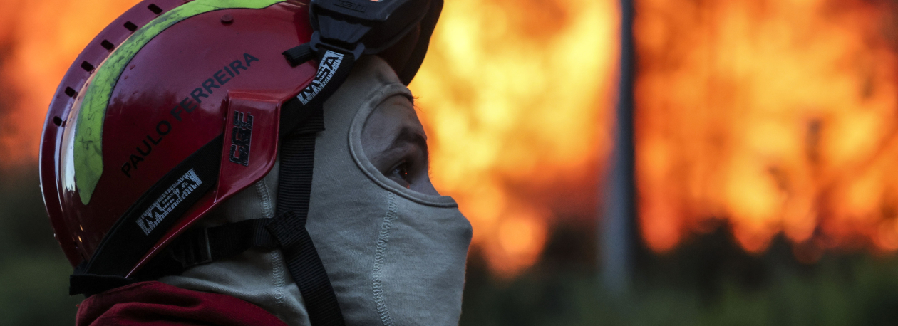 Proteção Civil alerta para aumento do perigo de fogos rurais na Madeira