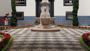 Funchal propõe calçada madeirense a património cultural imaterial (vídeo)