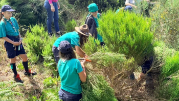 Dia Nacional da Conservação da Natureza assinalado na Madeira (áudio)