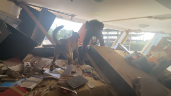 GRN tem seis cães na Venezuela (vídeo)
