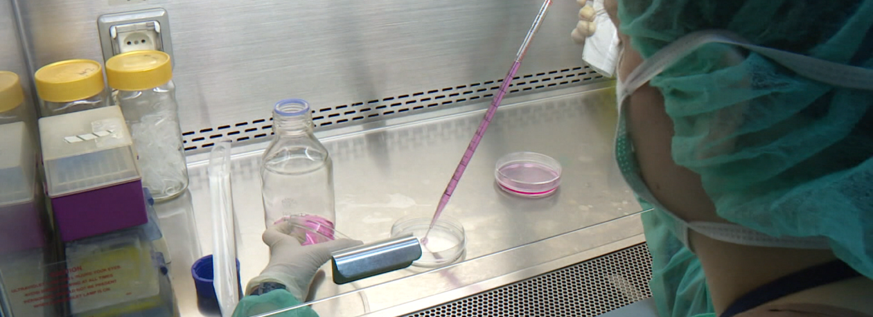Investigação no combate ao cancro e à diabetes (vídeo)