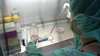 Investigação no combate ao cancro e à diabetes (vídeo)