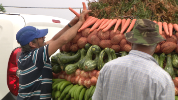 Feira do Gado com 150 expositores (vídeo)