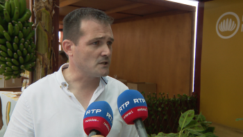 JPP afirma que os produtores estão a receber metade do valor que recebiam há 20 anos (vídeo)