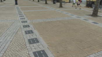 Machico perpetua vencedores com a “alameda do MIUT” (vídeo)