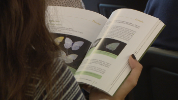Guias da biodiversidade da Madeira e Selvagens (vídeo)