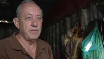 Aqui Há História: Jorge Vieira seca gaiado no Caniçal há 40 anos (vídeo)