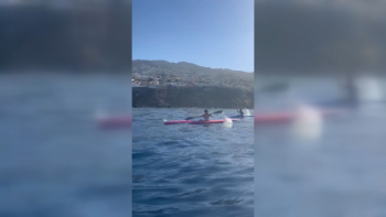 Baia do Funchal recebeu prova de canoagem (vídeo)