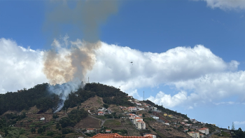 Suspeito de atear fogo no Caniço detido no local (vídeo)
