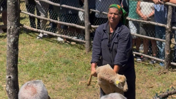 Leilão de animais marcou 2.º dia da feira (vídeo)