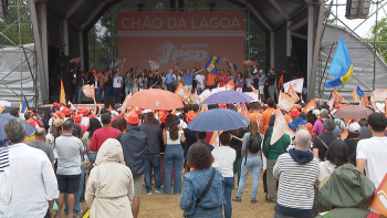 Miguel Albuquerque diz que a plataforma da mobilidade é “cangalha” (vídeo)