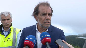 Ferry não é prioridade para Albuquerque (vídeo)