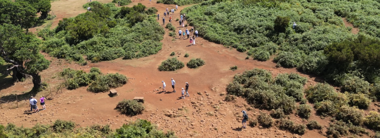 Governo quer criar circuito único de visita no Fanal (vídeo)