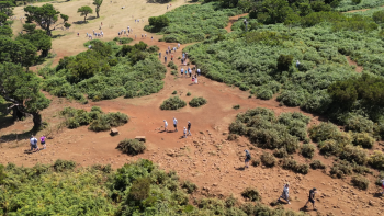 Governo quer criar circuito único de visita no Fanal (vídeo)