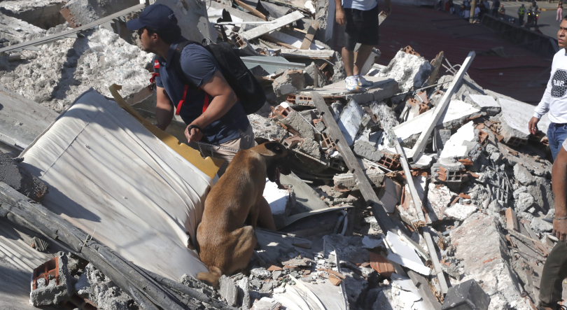 Sismo na Colômbia faz pelo menos 18 mortos no oeste do país
