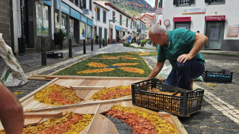 Faltam jovens e material para criação de tapetes florais (vídeo)