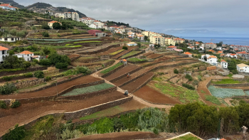 Produtos agrícolas aumentaram quase o dobro em quatro anos (vídeo)