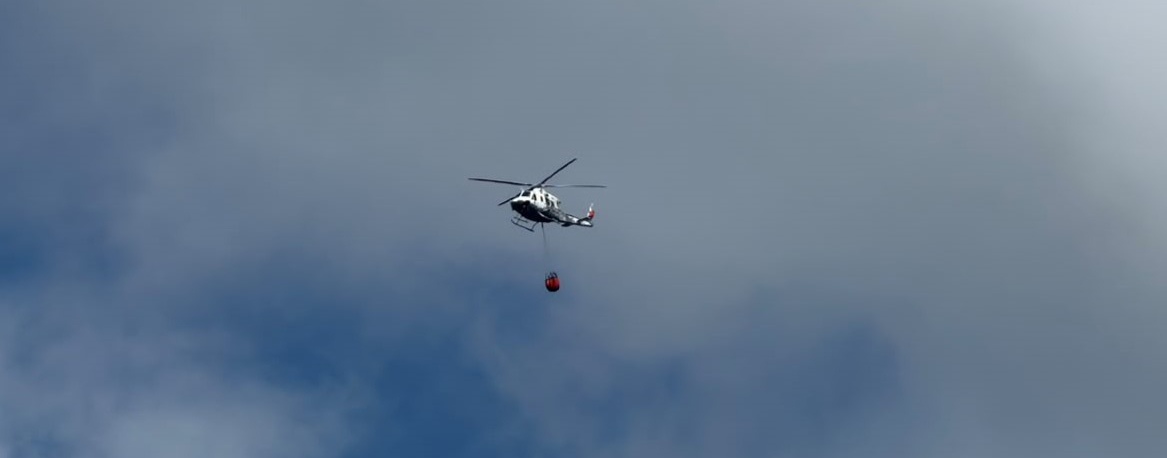 Três corporações combatem incêndio em Câmara de Lobos (vídeo)