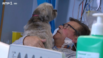 Doentes recebem visita de animais no hospital de S. João (vídeo)