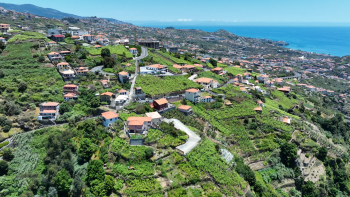 Pressão imobiliária ameaça vinhas (vídeo)
