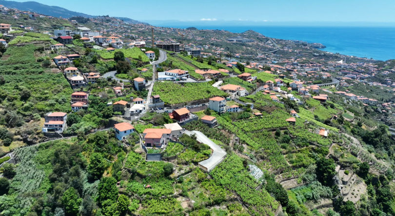 Pressão imobiliária ameaça vinhas (vídeo)