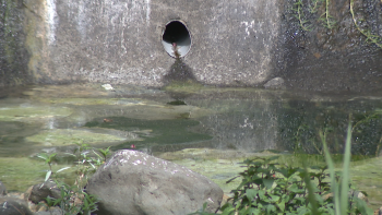Temperaturas mais elevadas fazem crescer preocupação com o mosquito da dengue (vídeo)