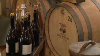 Sidra da Madeira voltou a ser premiada (vídeo)