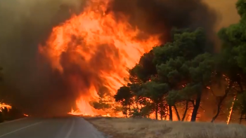 Europa continua a ser fustigada pelos incêndios florestais (vídeo)
