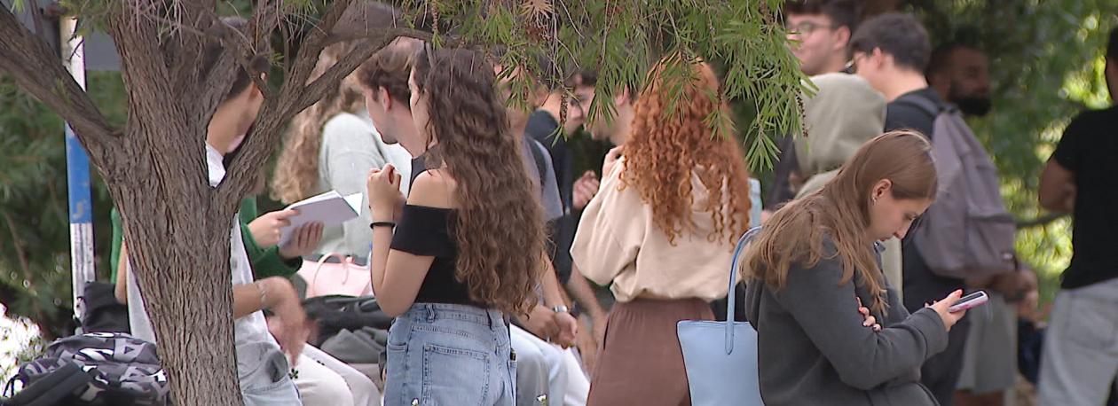 UMa esgota vagas disponíveis em 14 cursos (vídeo)