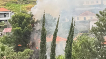 Incêndio em terreno particular mobilizou bombeiros em Machico (vídeo)