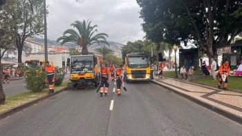 Câmara do Funchal contrata 32 cantoneiros (vídeo)