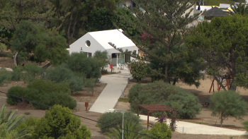 Antigo parque de campismo tornou-se ‘oásis citadino’ (vídeo)