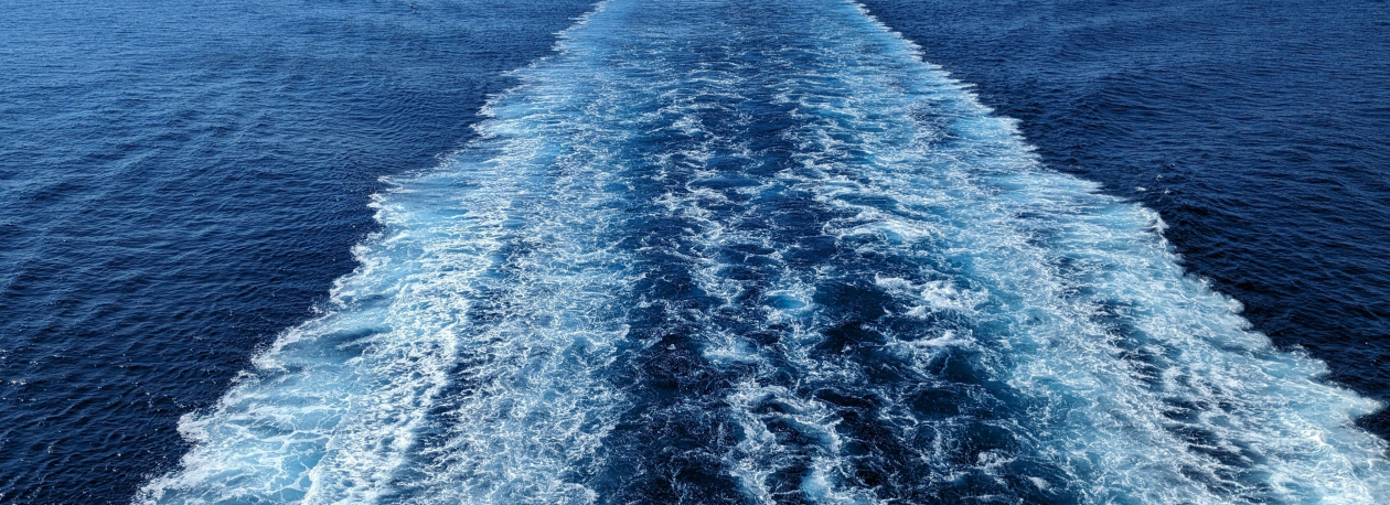 Ferry entre Madeira e continente exige apoio público (áudio)