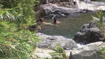 Poço dos Chefes continua a cativar madeirenses e turistas (vídeo)