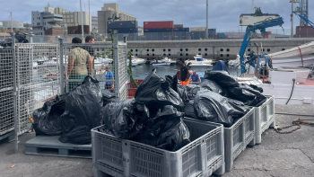 Gaiado seco devolvido aos pescadores do Caniçal