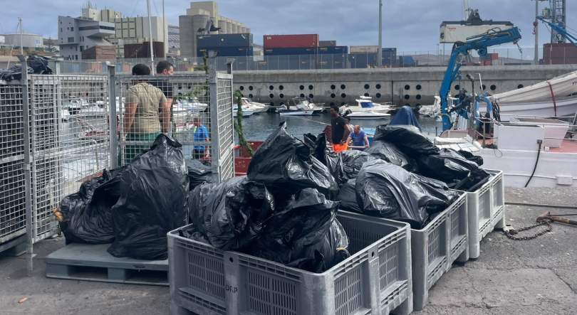 Gaiado seco devolvido aos pescadores do Caniçal
