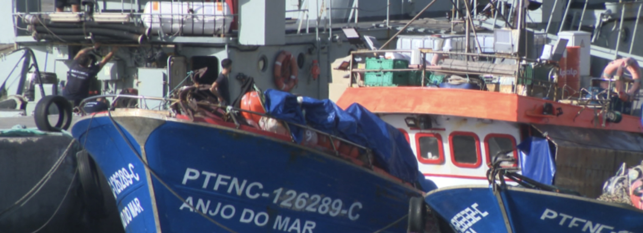 Pescadores ficam sem gaiado para a Festa da Piedade, ZMM fica em silêncio (vídeo)