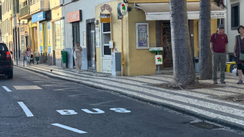 Novas faixas BUS dividem opiniões no centro do Funchal (áudio)