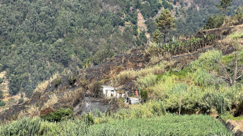 Incêndio nos Canhas consumiu cerca de 20 hectares (vídeo)