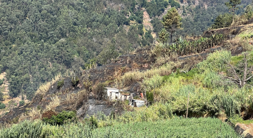 Incêndio nos Canhas consumiu cerca de 20 hectares (vídeo)