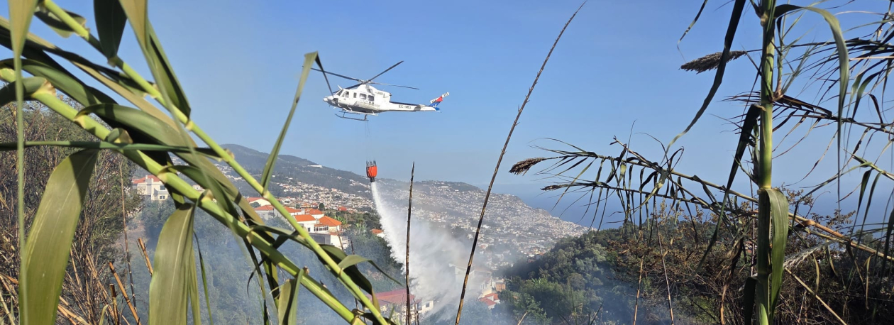Incêndio no Trapiche em fase de rescaldo (vídeo)