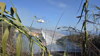 Incêndio no Trapiche em fase de rescaldo (vídeo)