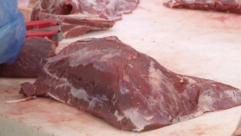 Ordem dos Veterinários alerta para as promoções nos supermercados (vídeo)