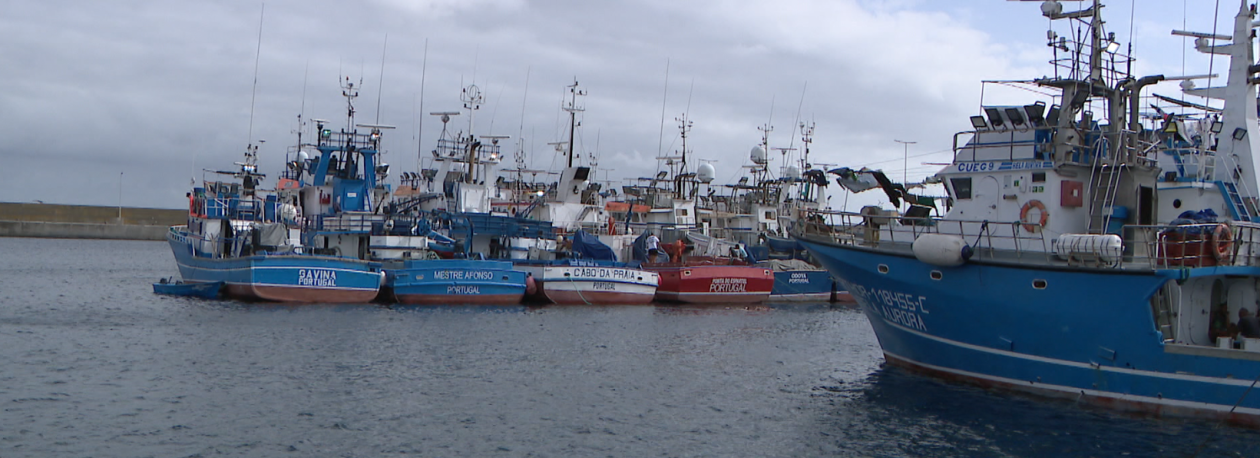 Armador do gaiado apreendido reuniu-se com Direção de Pescas (vídeo)